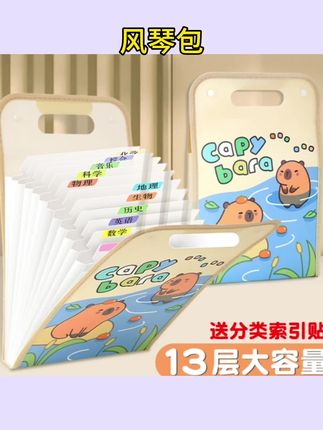#风琴包 手提风琴包办公文件资料收纳袋13层大容量学生科目试卷透明分类袋 #透明分类袋 #大容量文件袋 #资料收纳袋 #手提分琴包