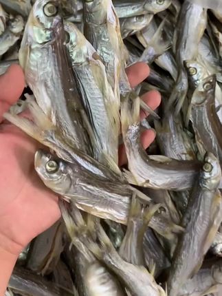#美食分享 #美食推荐 小河鱼干#快来一起尝个鲜 #鱼干 #乡村味道