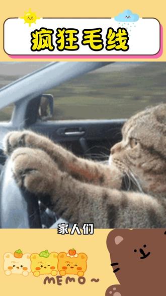 你们怎么这么快呀 #疯狂毛线