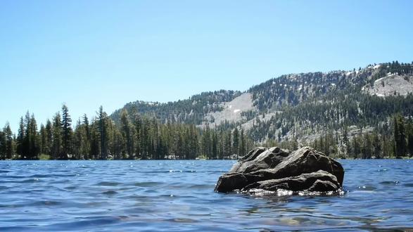 青蛙末日!疫苗能拯救它们吗? 小朋友和宝妈们看过来!一场可怕的 “青蛙瘟疫” 正在蔓延 —— 壶菌病,已经让全球数百种青蛙濒临灭绝!
科学家们正在研发疫苗,试图阻止这场 “青蛙末日”,这是一场和时间赛跑的生命保卫战!
#青蛙末日 #壶菌病 #青蛙保护 #儿童自然启蒙 #宝妈带娃科普 #微观世界 #濒危物种 #神奇动物 #自然科普 #生物疫苗