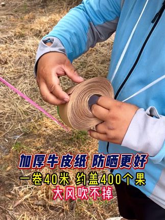 加厚牛皮纸防晒贴纸,避免果子被晒伤 #防晒贴纸 #柑橘种植 #果树管理 #柑橘防晒