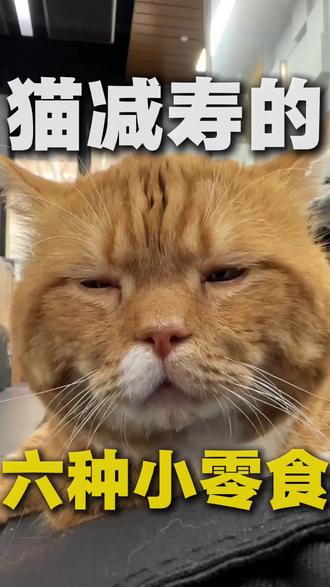 想要你家猫咪嘎的快,你就多给它吃这六种零食。#科学养宠攻略 #猫咪 #新手养猫 #养猫人