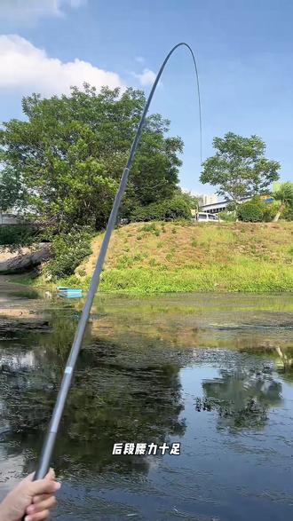 步马旺兰非凡大师系列钓竿 中钓集团品质保证 全尺寸全部一个价 仅需198¥#步马钓具 #步马旺兰 #适合新手的钓鱼竿 @步马钓具旗舰店