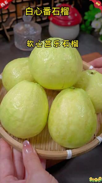 番石榴 女生怀孕熬夜必备新鲜现摘水果白心软糯芭乐低糖树熟脆甜番石榴#番石榴 #女生必备 #孕期水果 #低糖水果 #新鲜水果