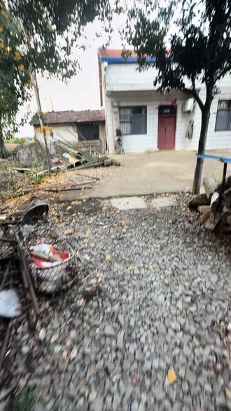 爸妈原本是不同意养狗的,我本着慈悲为怀,普度众生的心态跟他们磨了好几天的嘴皮子才说服她们领养了这只小母狗,小黄原名叫蓝莓,是邻居儿子当时花300块买回来的,他在市区上班因为不方便喂养,就把它留在农村老家由他父母照看,老人平时也忙平时没时间喂养它们,当时说准备处理掉,我一听给我惊住了,好端端的一条生命咋能说处理就处理掉呢,我就收养了回来,给她改名为香菜,搭了狗窝,它也挺机灵,知道我是为它做的房子,我不在的时候它就睡窝里,在家它就睡沙发,狗跟人是一样的,知道你对它好,它也给你温暖,当我看它历经艰辛生了一窝小狗狗,看到它的孩子们一字排开整齐的趴在母亲怀里吃奶的那一刻,母爱具象化了,生活中母爱原来无处不在,原谅我也只是个俗人并是条件很好的那种,不然我会收养更多小狗,尽我所能。愿岁月静好,一切平安顺遂!#养狗人 #原创视频 #家有中华田园犬