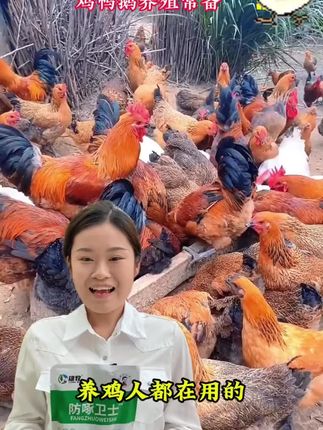 #养鸡 #鸡鸭鹅养殖 #养鸡人 #养鸡小妙招 #科学养鸡