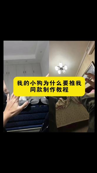 我的小狗为什么要推我#我的小狗为什么要推我怎么拍#我的小猫为什么要推我#小猫你为什么推我#万万没想到