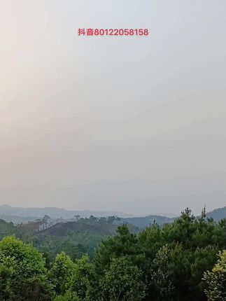 杨公九星消砂纳水经典集#玄学文化 #民俗文化#国学文化#地理文化#好书分享
