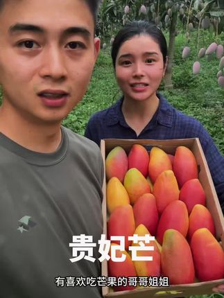就是这个来自海南的贵妃芒,它果肉细腻嫩滑,没有筋也没有丝,一口下去满嘴都是香甜浓郁的汁水,真的太满足了,喜欢的朋友赶紧买回去尝尝吧!#海南贵妃芒 #贵妃芒 #芒果 #海南水果 #贵妃芒果现摘发货