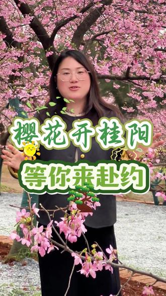 别等花期过!这个春天,一起来桂阳赴一场樱花之约~#桂阳樱花园 #郴州周边游 #春日赏花 #樱花拍照攻略 #湘南赏樱