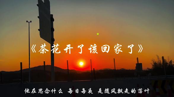 “茶花开了 该回家了”#音乐分享 来汽水设置手机铃声