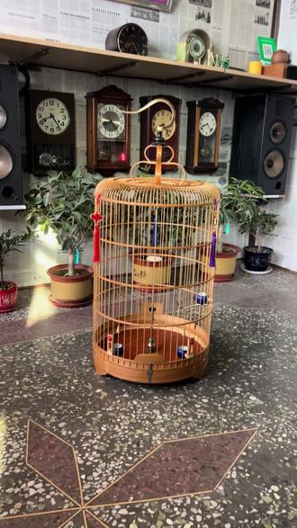 百灵云雀笼,全套配置如视频所示,#感谢抖音我要上热门