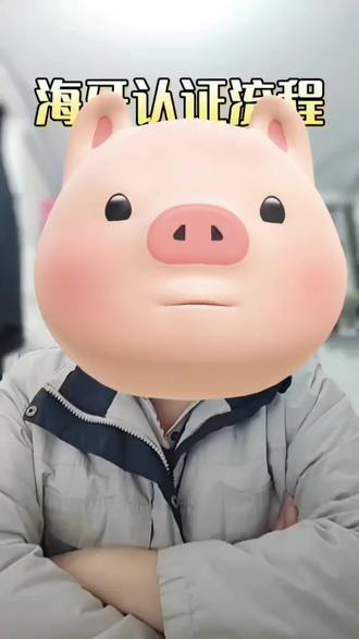 海牙认证流程简单说说#海牙认证#海牙公证