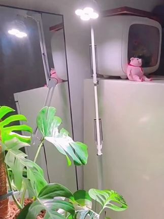 #上热门 全光谱植物补光灯室内月季绣球生长灯鱼缸睡莲爆藻仿太阳led灯#植物补光灯 #植物生长灯 #植物灯调光电源 #太阳能植物灯 @DOU+小助手