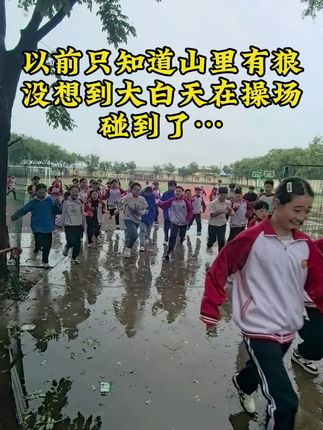 太可怕了 都什么年代了,山上居然还能跑下来狼#上热门🔥上热门 #同城热门 #校园 #搞笑