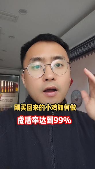 刚买回来的小鸡如何做,成活率99% #养鸡助手 #养鸡 #散养土鸡 #土鸡 #三农养殖