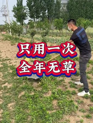 #除草#果园除草#除草神器#除草妙招#根除恶性杂草