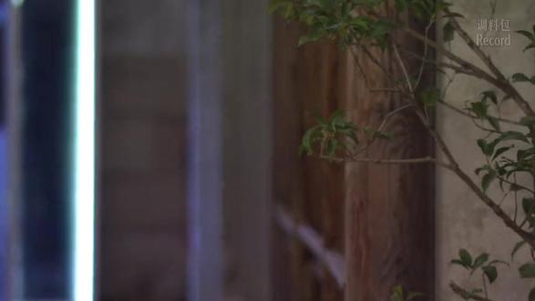 从长珩仙君到武安侯谢征,哪有什么一夜爆红,不过是7年的默默沉淀,他是张凌赫!#张凌赫 #人物志 #抖音精选