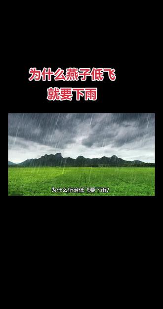 十万个为什么?#燕子#科普#孩子