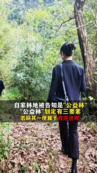 自家林地被告知是"公益林"? "公益林"划定有三要素!若缺其一便可能属于程序违规!#北京律师#林地纠纷#公益林#补偿纠纷#林权证