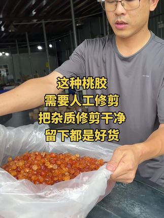 我的视频没有美颜没有滤镜,都是真实拍摄出来的桃胶,干干净净品质好#农产品 #特产 #地方特产 #桃胶