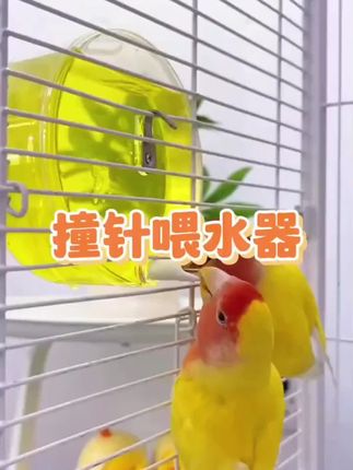黄金依然自身规律运行 #黄金 #黄金知识 #黄金加工 #美联储议息会议