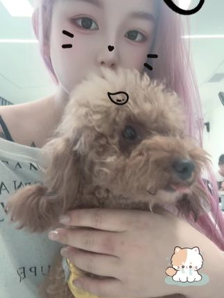 被迫营业的🐶