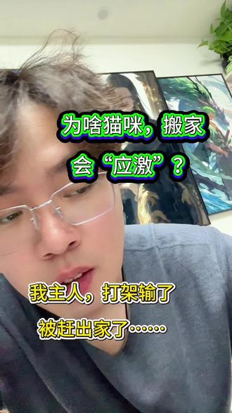 为啥猫咪,搬家就会“应激” 在猫咪的世界里,主人打架输了,要换个地方!所以下次搬家到新地方,先打一架?打赢了,它心情就好了!#猫咪 #猫咪假期 #带猫回家 #猫咪防应激 #新手养猫