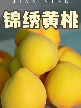 这么诱人的建宁双溪锦绣黄桃你吃过吗?#新鲜应季水果 #鲜嫩多汁的水果 #新鲜采摘 #快来一起尝个鲜 #锦绣黄桃 @抖音小助手 @DOU+小助手