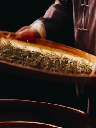 飘香韵蒲公英茶婆婆丁高山蒲公英叶正品炒制泡茶泡水喝的花草茶#蒲公英 #蒲公英推荐 #飘香韵 #泡茶 #泡水