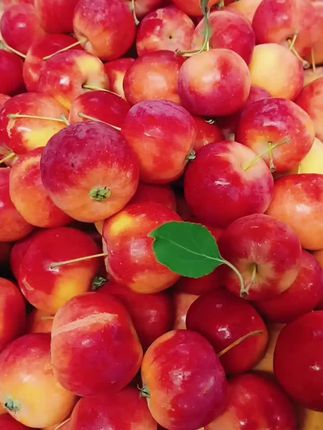 #东北沙果酸甜脆口#新鲜现摘顺丰包邮#