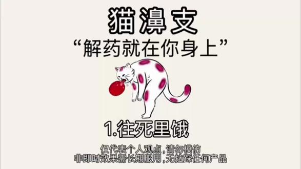 猫濞 支上岸正确顺序#猫鼻支#猫咪#猫咪打喷嚏#新手养猫#养猫经验分享