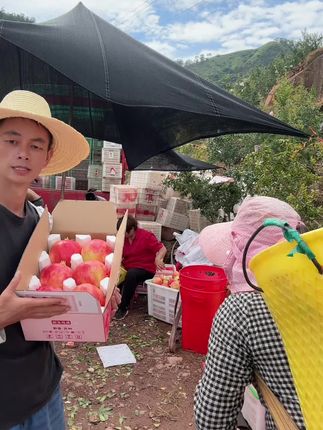 #突尼斯软籽石榴 #新鲜应季水果