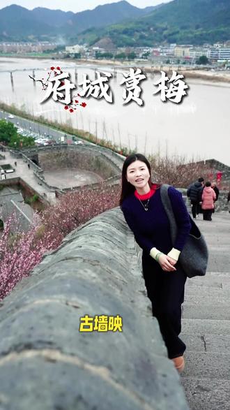 逛江南古长城,赏漫山寒梅,闻着梅香走古城,感受府城冬日浪漫#临海旅游 #梅花 #长城
