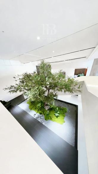 仿真绿植中的顶流树,真树干大树给场地赋能 高级感室内景观,
仿真绿植造景落地的热门款都在这了!
从松弛侘寂的仿真橄榄树、
自带禅意的迎客松,
到清冷艺术的白桦林,
再加上线条感极强的枫树、
自带野趣的海岛春花、
雅致的南天竹、
独特的马醉木与杜鹃根,
每一棵都采用真树干大树还原原生肌理,
适配极简、新中式、
宋式美学等多种风格。
不用再为真树养护发愁,
仿真绿植造景轻松打造沉浸式自然场景,
为酒店大堂、商业展厅等
高端空间场地赋能,
让设计感直接拉满。
#仿真绿植造景 #仿真绿植造景 #室内造景 #新中式造景#仿真树