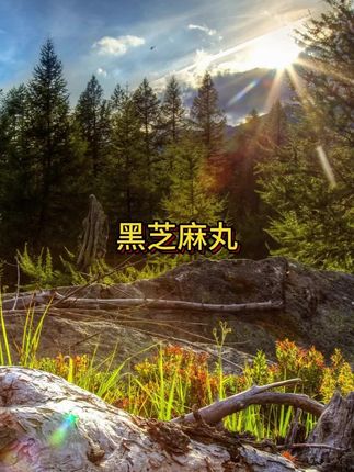 老金磨方9袋45g黑芝麻丸