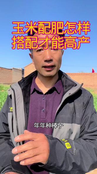 玉米肥配制应该氮磷钾微量元素合理搭配才能高产#服务三农支持三农 #玉米种植#农技知识分享 #种植技巧#农资肥料厂家