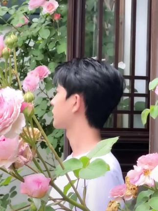 #上热搜 四哥