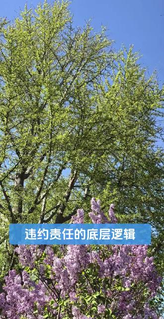 #律师 #合同#违约责任 违约责任不是合同约定多少都会被判决支持的
