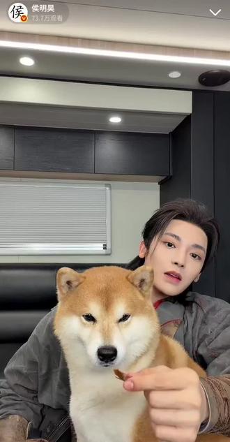 #家有萌犬 #侯明昊和monkey @侯明昊Neo