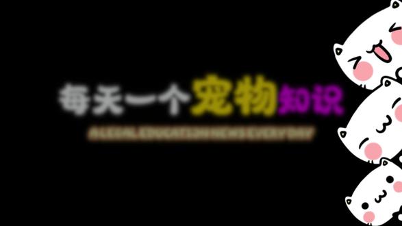 养狗怕拆家真假疫苗?两招搞定不用愁 #狗狗拆家解决办法 #狗狗疫苗真伪查询教程 #漏食玩具缓解狗狗分离焦虑 #新手养狗必知疫苗避坑 #养狗常见问题在线解答