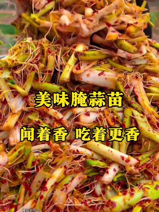 这现拌的腌蒜苗,吃的就是这份新鲜热辣,刚做好就被抢着舀,连盆底的汁儿都想舔干净。#下饭菜#懒人快手菜 #新鲜食材 #辣的过瘾