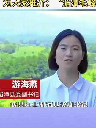 #湄潭毛峰 #遵茶 #遵义 #湄潭 #贵州绿茶