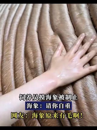 #制止