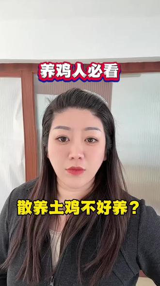 散养土鸡不好养#养鸡#养鸡人#三农#养殖#抖音新农人