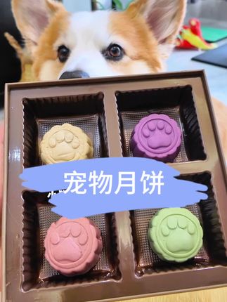 中秋的月饼甜也要给毛孩子分一半! #宠物月饼 #中秋节 #萌宠好物 #无限回购的宝藏单品 #在抖音入手的好东西
