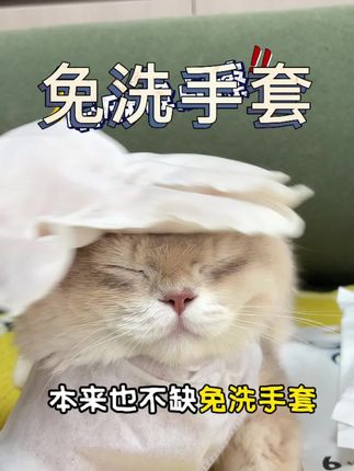 #养猫新手 一只就能洗一只小臭咪!#sourif宠物免洗手套 #萌宠 #科学养宠攻略
