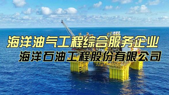 海油工程是一家怎样的公司? #海油工程 #上市公司 #油气 #海工装备 海洋石油工程股份有限公司,简称海油工程,中国领先的海洋油气工程综合服务企业。