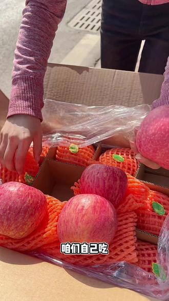 #洛川红富士 走亲送礼自己吃,就选洛川红富士#脆甜多汁 #优质农产品