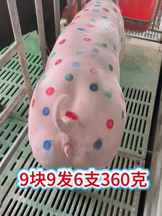 #记号笔#兽用记号笔 #记号蜡笔